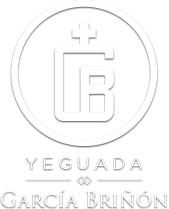 Yeguada Garca Brin